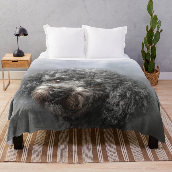Item preview, Cute Gray Miniature Poodle designed and sold by Elisabeth Lucas.