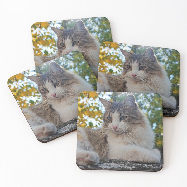 Item preview, Autumn Cat Portrait – Cozy Fall Feline Photography designed and sold by MB-CatPrints.