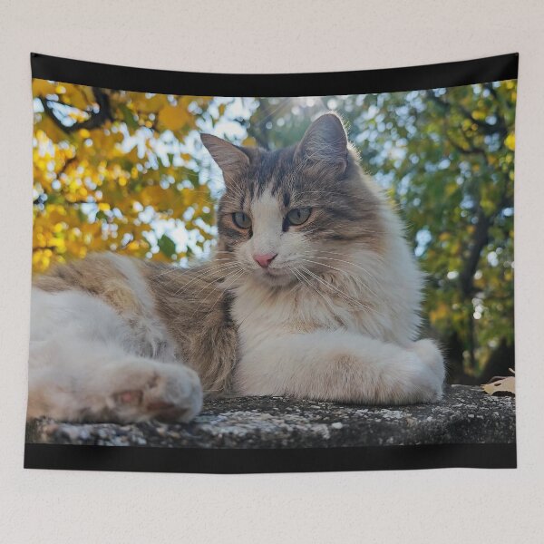 Item preview, Autumn Cat Portrait – Cozy Fall Feline Photography designed and sold by MB-CatPrints.