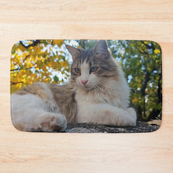Item preview, Autumn Cat Portrait – Cozy Fall Feline Photography designed and sold by MB-CatPrints.