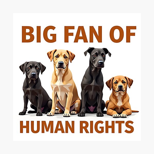 Item preview, Unity Hounds: Big Fan of Human Rights designed and sold by Wear2Transform.