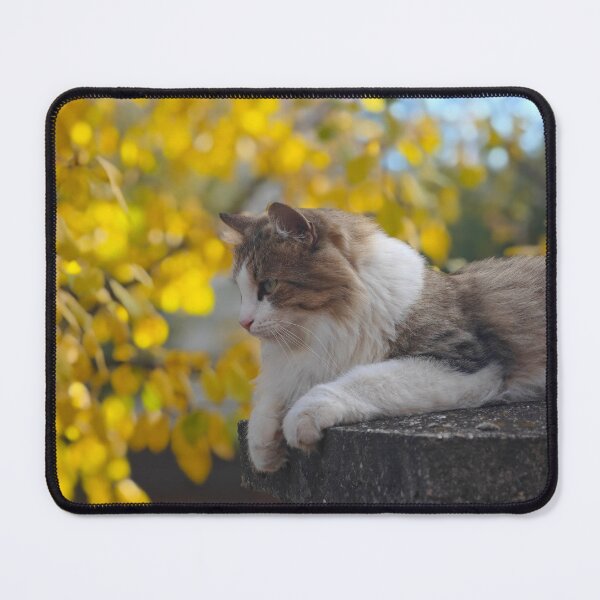 Item preview, Autumn Cat Portrait – Golden Fall Calm designed and sold by MB-CatPrints.