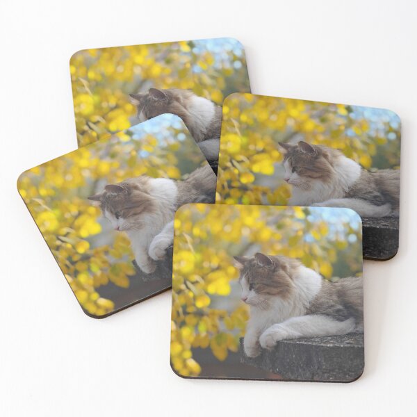 Item preview, Autumn Cat Portrait – Golden Fall Calm designed and sold by MB-CatPrints.