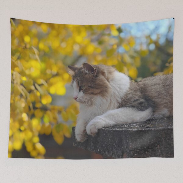 Item preview, Autumn Cat Portrait – Golden Fall Calm designed and sold by MB-CatPrints.