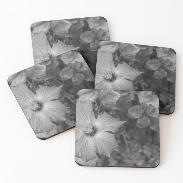 Item preview, This image shows a hibiscus flower characterized by its large, five-petaled form and prominent central staminal column.  designed and sold by EyezWatchin.