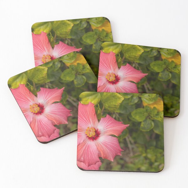 Item preview, This image shows a hibiscus flower characterized by its large, five-petaled form and prominent central staminal column designed and sold by EyezWatchin.