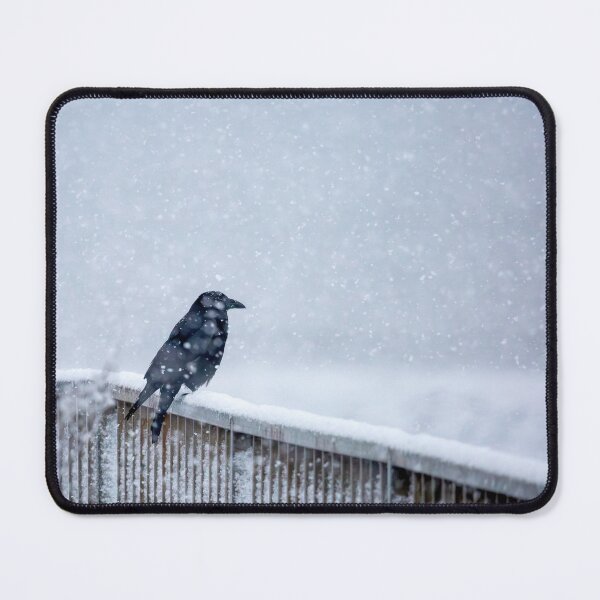 Item preview, Crow Perched in Falling Snow designed and sold by AnitaNicholson.