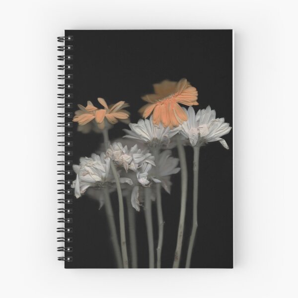 Item preview, Gerbera Flower designed and sold by HeyVincent.