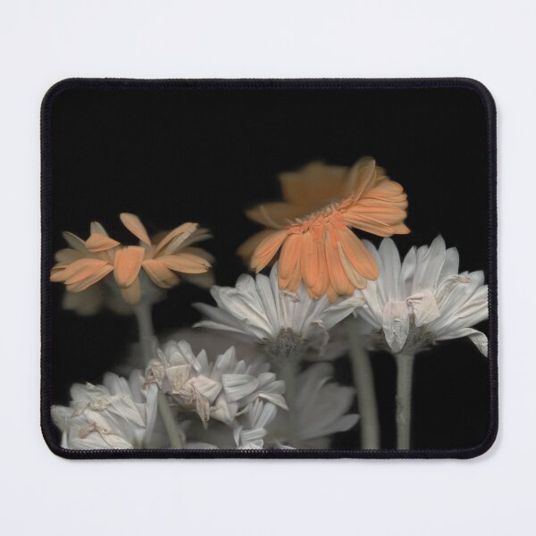 Item preview, Gerbera Flower designed and sold by HeyVincent.