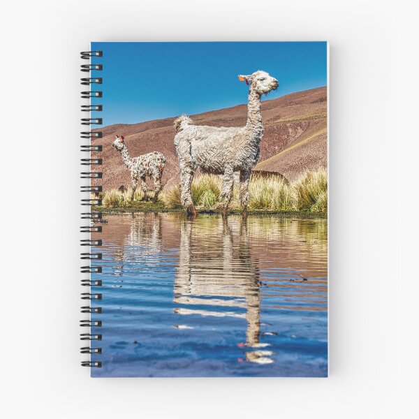 Item preview, Una llama y su reflejo designed and sold by Keltoi-art.