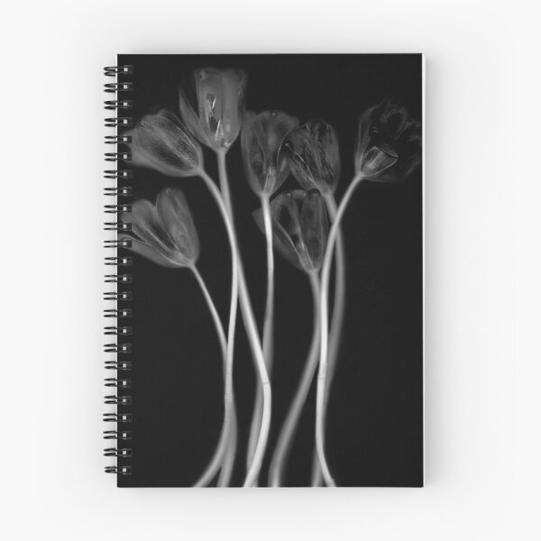 Item preview, tulip designed and sold by HeyVincent.