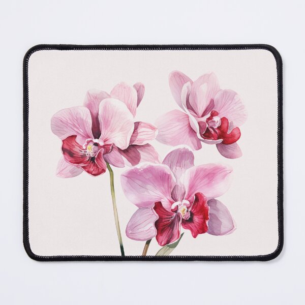 Item preview, Three Pastel Pink Orchids designed and sold by Violet Peonies.