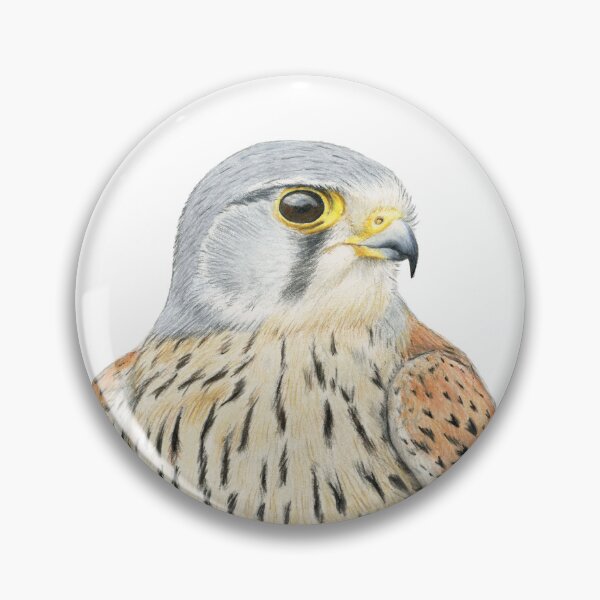 Item preview, Common Kestrel designed and sold by Holly Grogan Art.