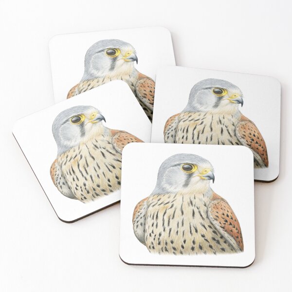 Item preview, Common Kestrel designed and sold by Holly Grogan Art.