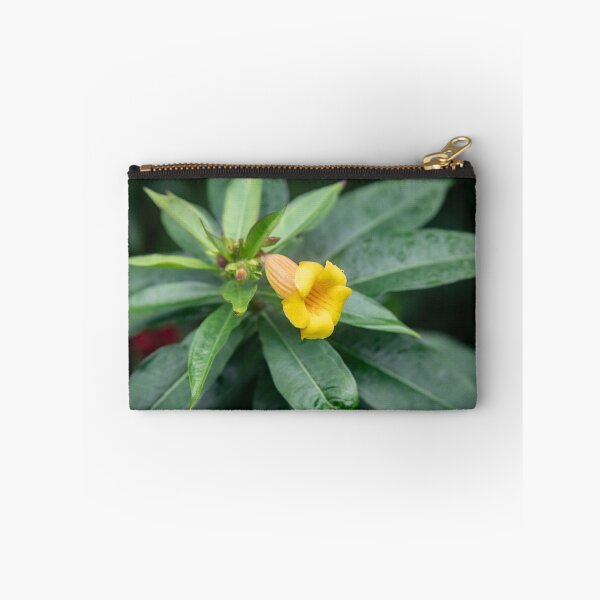 Item preview, Yellow Allamanda Plant Golden Trumpet Plant X105 designed and sold by RichFrancoCars.