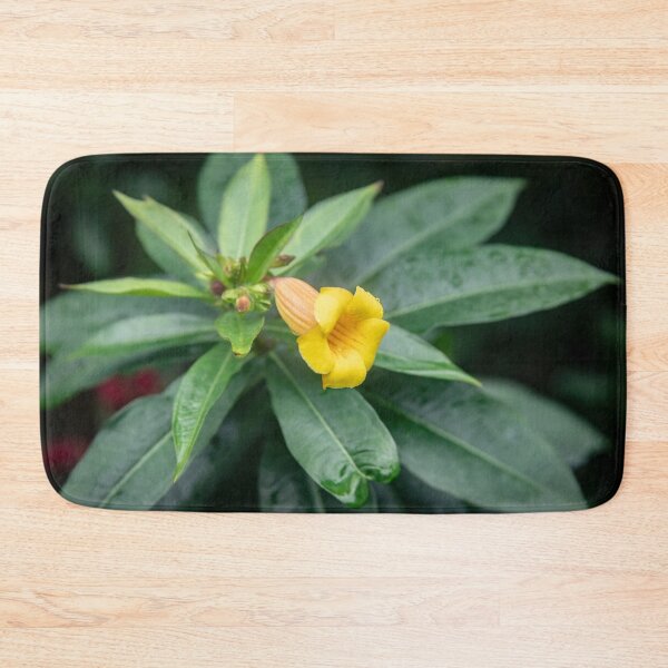Item preview, Yellow Allamanda Plant Golden Trumpet Plant X105 designed and sold by RichFrancoCars.