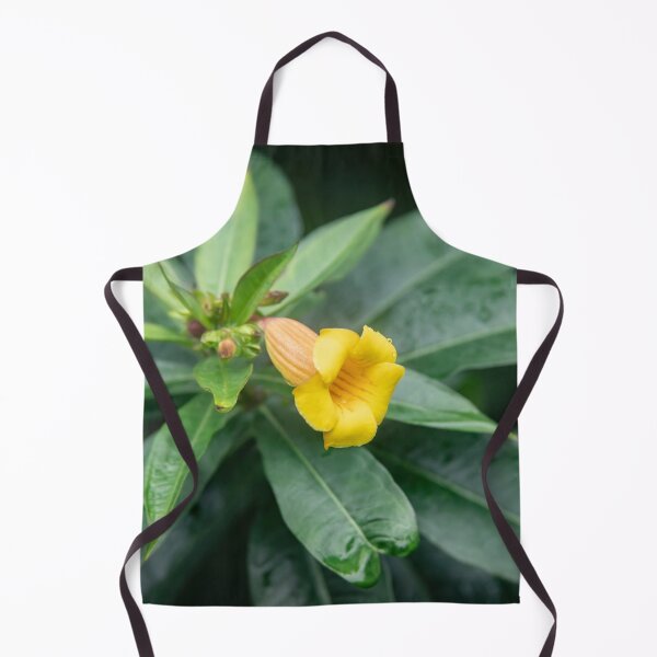 Item preview,  Yellow Allamanda Plant Golden Trumpet Plant X105 designed and sold by RichFrancoCars.
