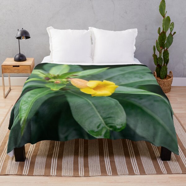 Item preview,  Yellow Allamanda Plant Golden Trumpet Plant X105 designed and sold by RichFrancoCars.