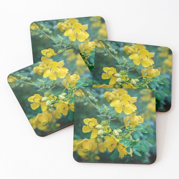 Item preview, Cassia Tree Cassia fistula X110 designed and sold by RichFrancoCars.