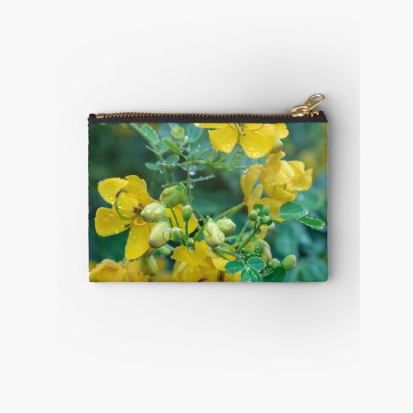 Item preview, Cassia Tree Cassia fistula X110 designed and sold by RichFrancoCars.