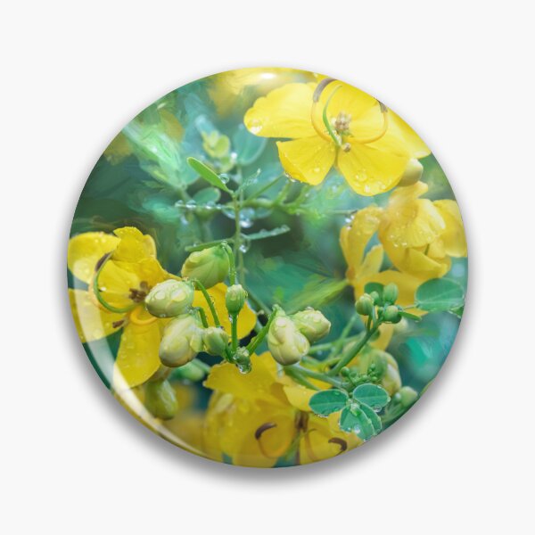 Item preview,  Cassia Tree Cassia fistula X113 designed and sold by RichFrancoCars.