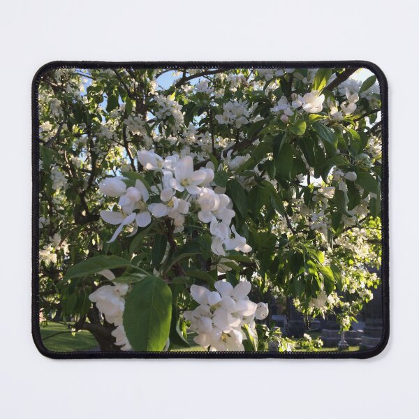 Item preview, Apple tree in bloom designed and sold by Art Rendez-vous.
