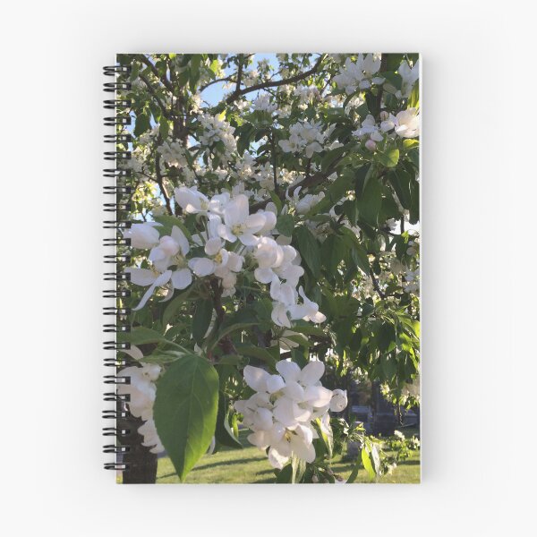 Item preview, Apple tree in bloom designed and sold by Art Rendez-vous.