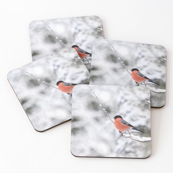 Item preview, Eurasian bullfinch on white designed and sold by Jouko Lehto Photography.