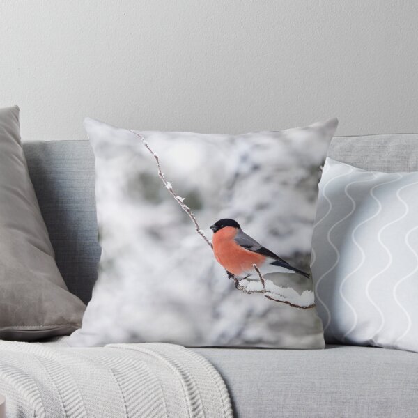 Item preview, Eurasian bullfinch on white designed and sold by Jouko Lehto Photography.
