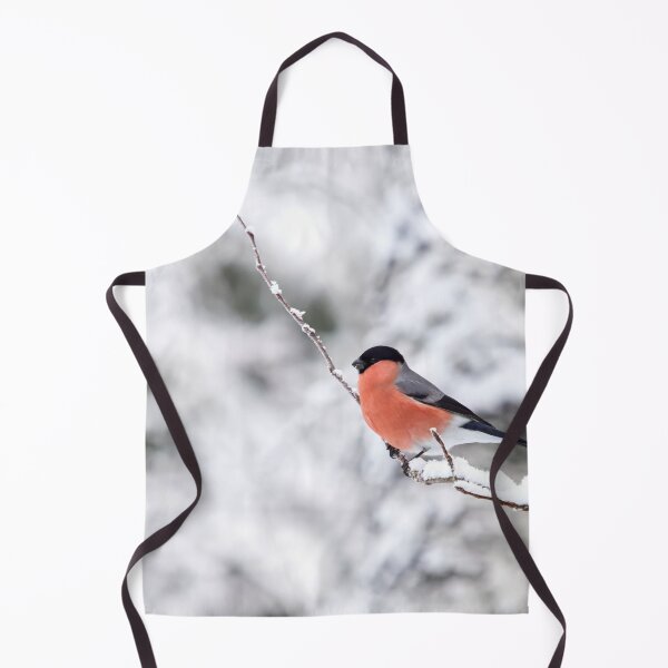 Item preview, Eurasian bullfinch on white designed and sold by Jouko Lehto Photography.