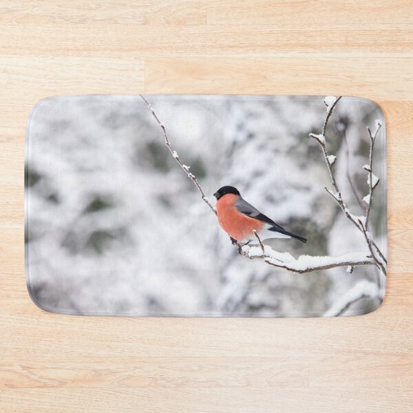 Item preview, Eurasian bullfinch on white designed and sold by Jouko Lehto Photography.