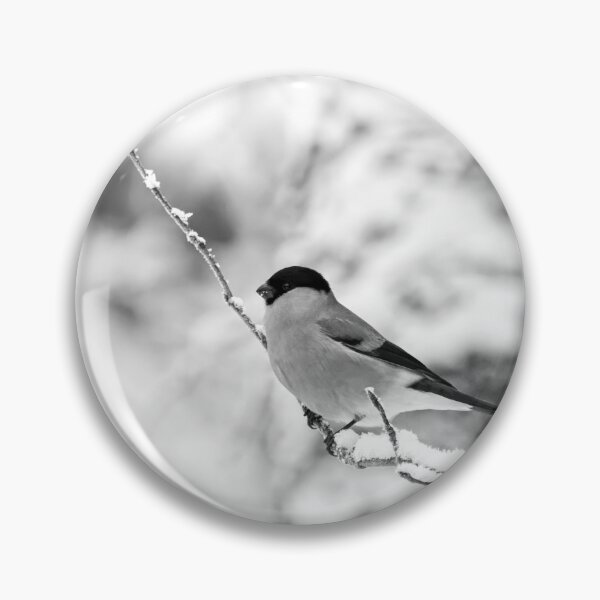 Item preview, Eurasian bullfinch on white bw designed and sold by Jouko Lehto Photography.