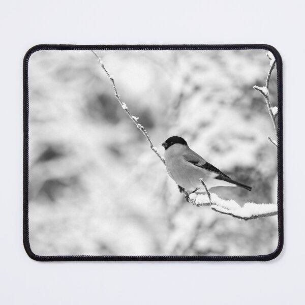 Item preview, Eurasian bullfinch on white bw designed and sold by Jouko Lehto Photography.