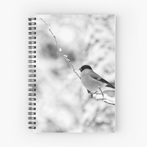 Item preview, Eurasian bullfinch on white bw designed and sold by Jouko Lehto Photography.
