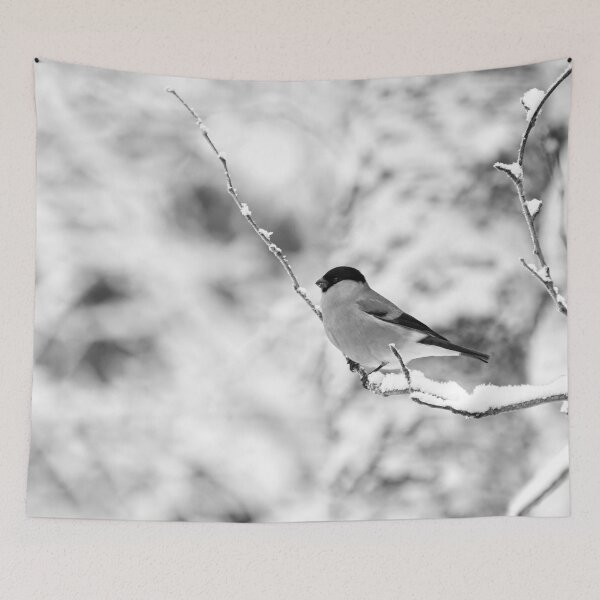 Item preview, Eurasian bullfinch on white bw designed and sold by Jouko Lehto Photography.