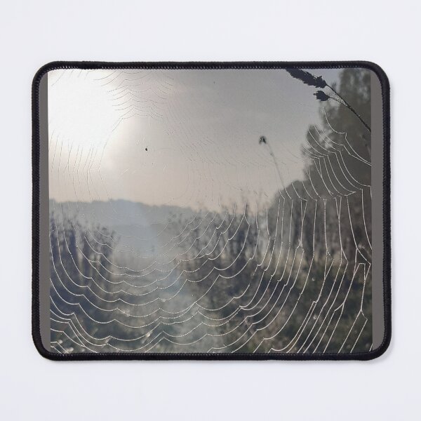 Item preview, Spiders web designed and sold by Emma  Amies.