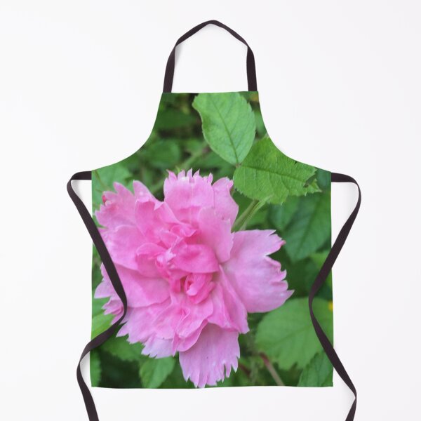 Item preview, Rugosa hybrid rose / Rugosa hybrid rose bush designed and sold by Art Rendez-vous.