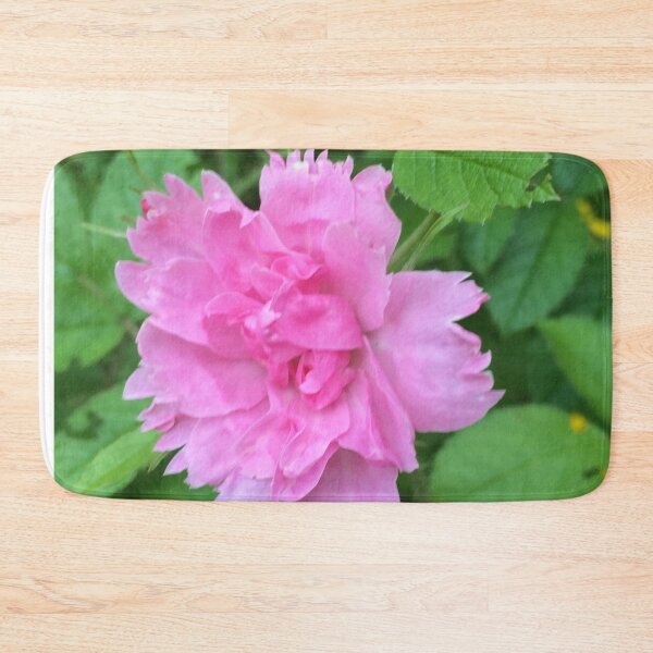 Item preview, Rugosa hybrid rose / Rugosa hybrid rose bush designed and sold by Art Rendez-vous.