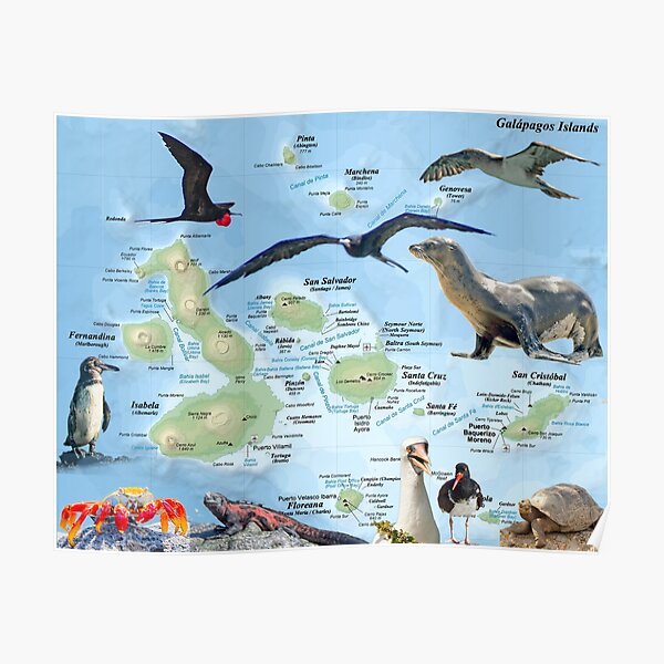 Galapagos Poster