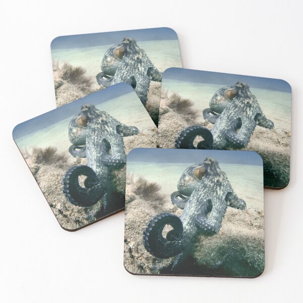 Item preview, octo reach designed and sold by benillis.