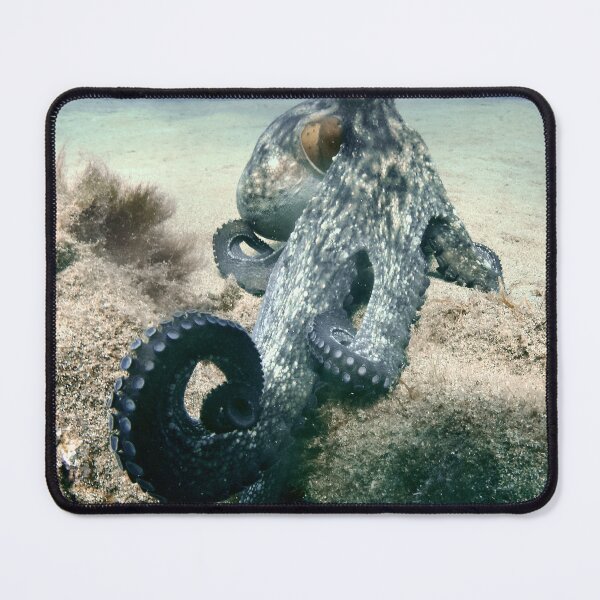 Item preview, octo reach designed and sold by benillis.