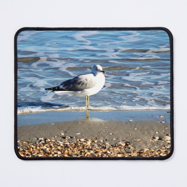 Item preview, Seagull on a Pebbled Beach designed and sold by Cynthia48.