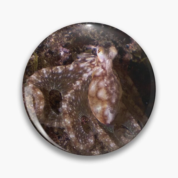 Item preview, atlantic lilliput octo designed and sold by benillis.