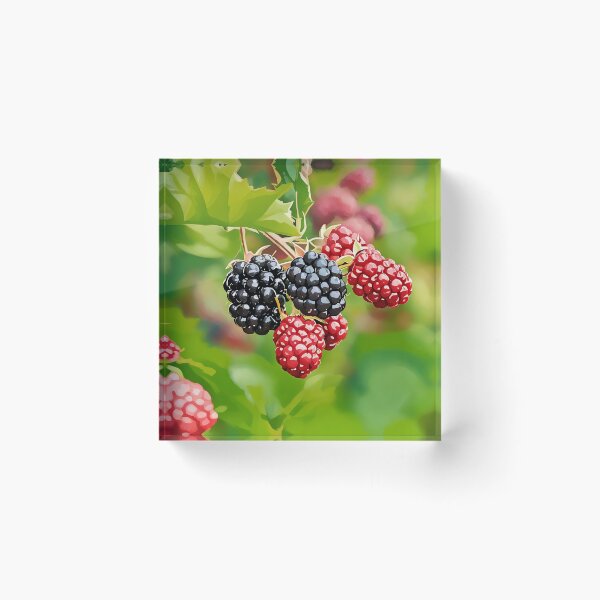 Artikelvorschau, Brombeeren entworfen und verkauft von tomorrowsart.