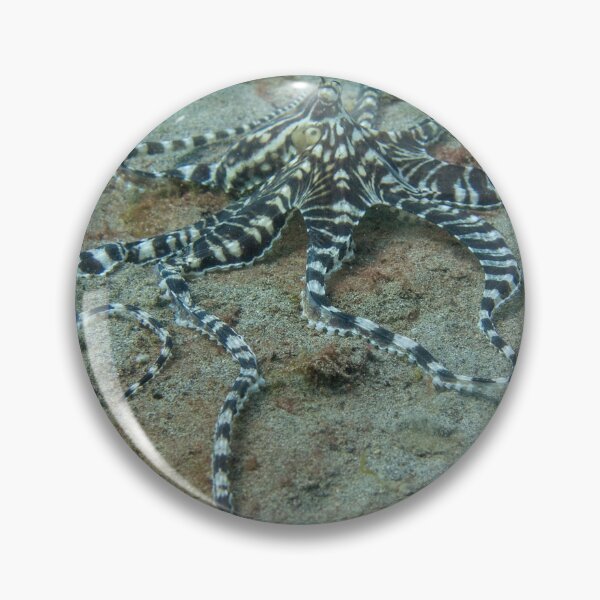 Item preview, mimic octo  designed and sold by benillis.