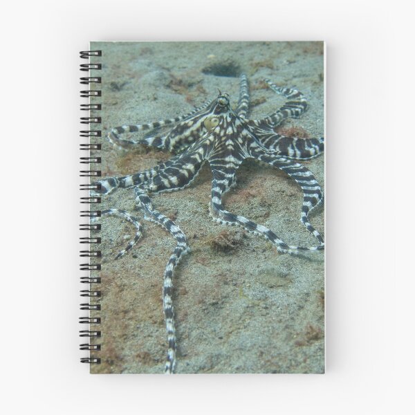 Item preview, mimic octo  designed and sold by benillis.