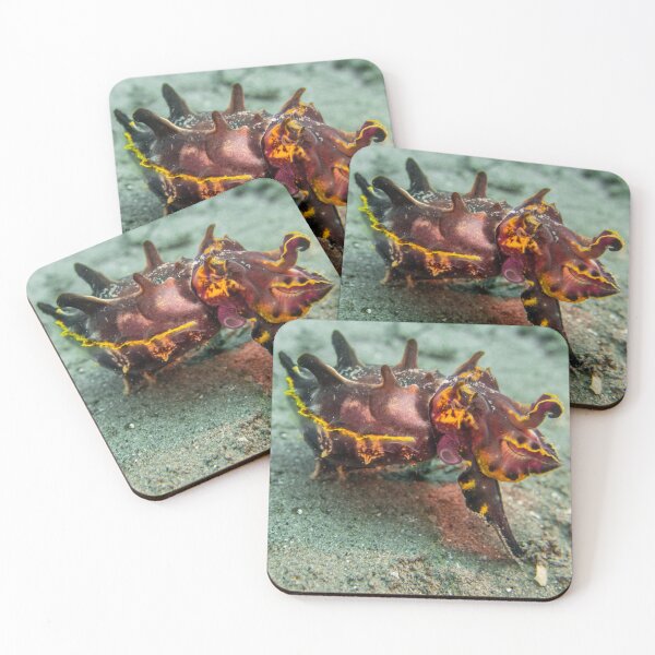 Item preview, flamboyant cuttle designed and sold by benillis.