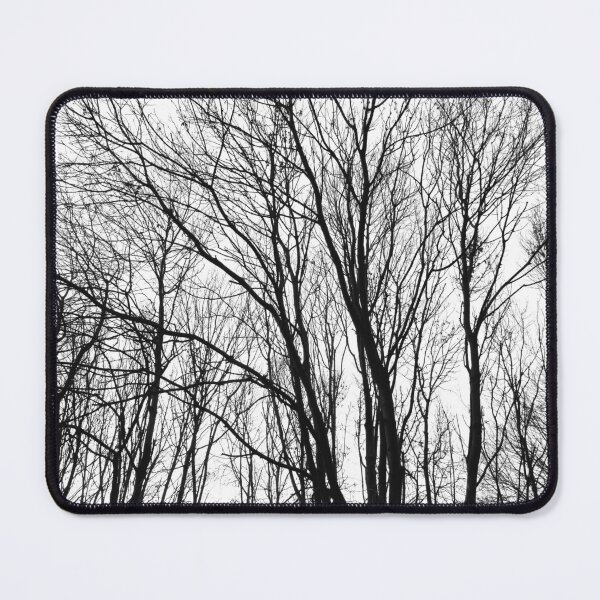 Item preview, Young Autumn ash trees, monochrome designed and sold by paulboizot.