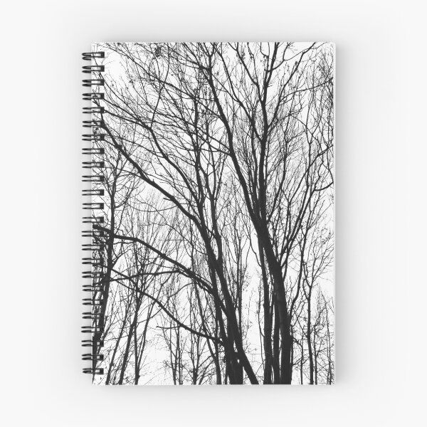 Item preview, Young Autumn ash trees, monochrome designed and sold by paulboizot.