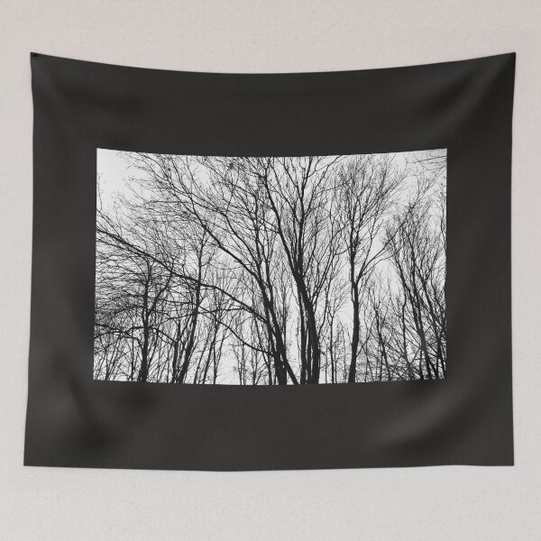 Item preview, Young Autumn ash trees, monochrome designed and sold by paulboizot.